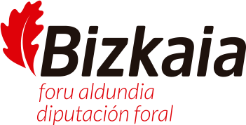 DIPUTACION FORAL DE BIZKAIA