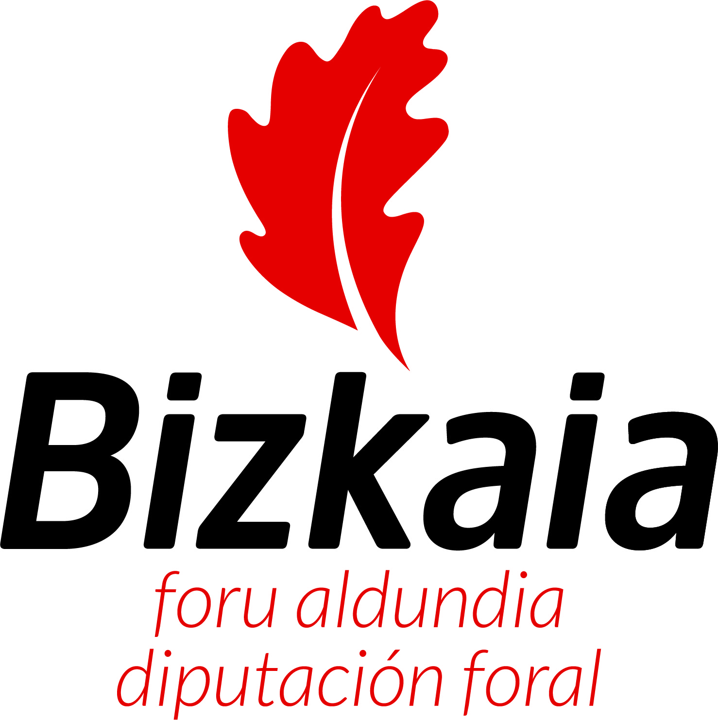 DIPUTACIÓN FORAL BIZKAIA